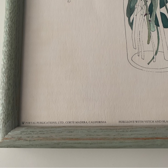 Mary Lou Goertzen Litho Foxglove,Vetch,Blackberry Blossoms/Comfrey 17”x13” - Picture 7 of 14